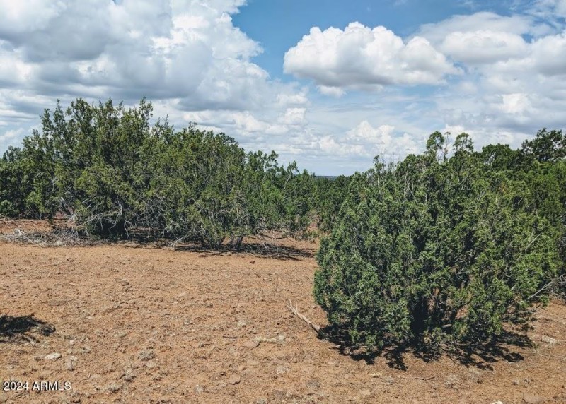 4 COUNTY ROAD 8058