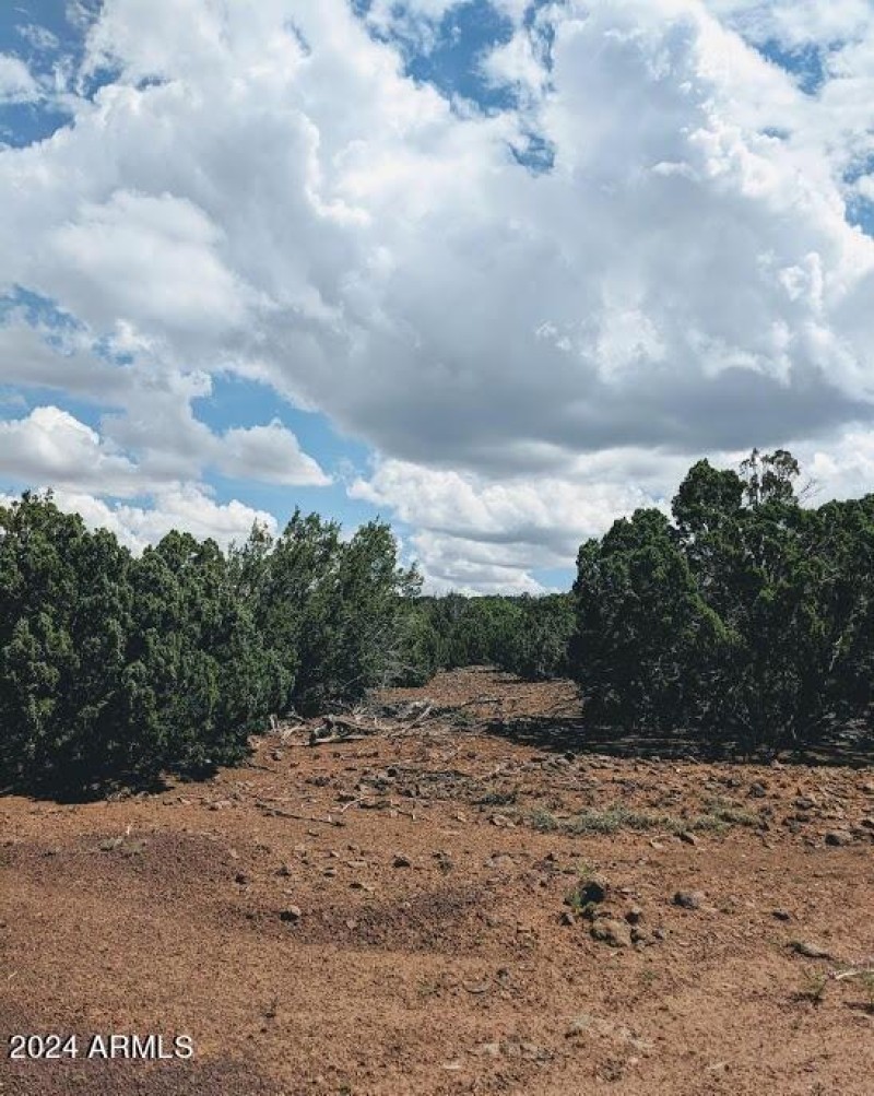 4 COUNTY ROAD 8058