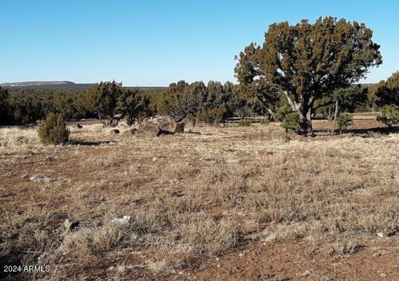 4 COUNTY ROAD 8058