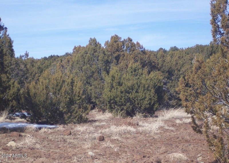 45 County Rd 8296