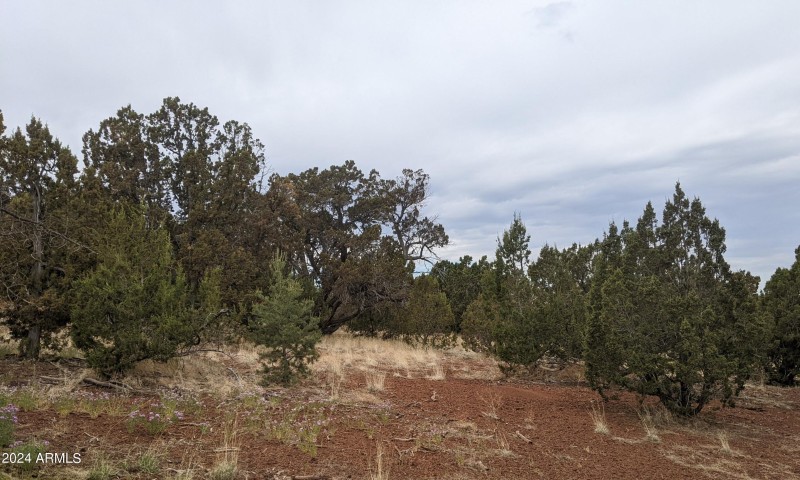 45 County Rd 8296
