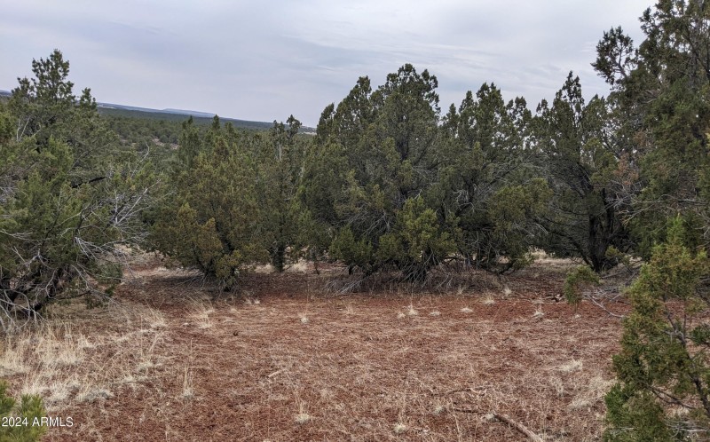45 County Rd 8296