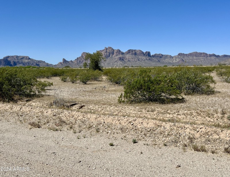 50625021C Main Mtn Pic w road