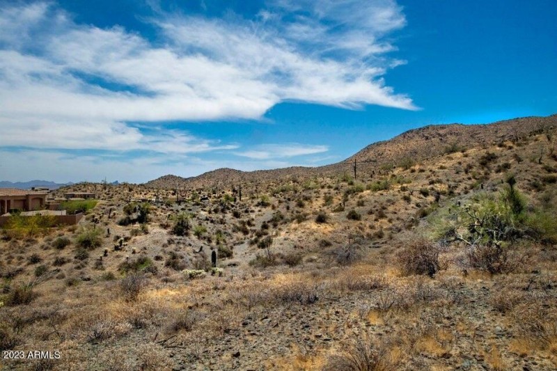 Landscape 65