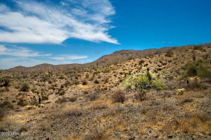 Landscape lot 65