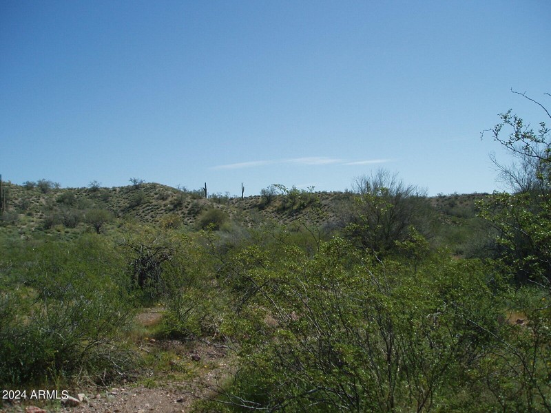 P3300015