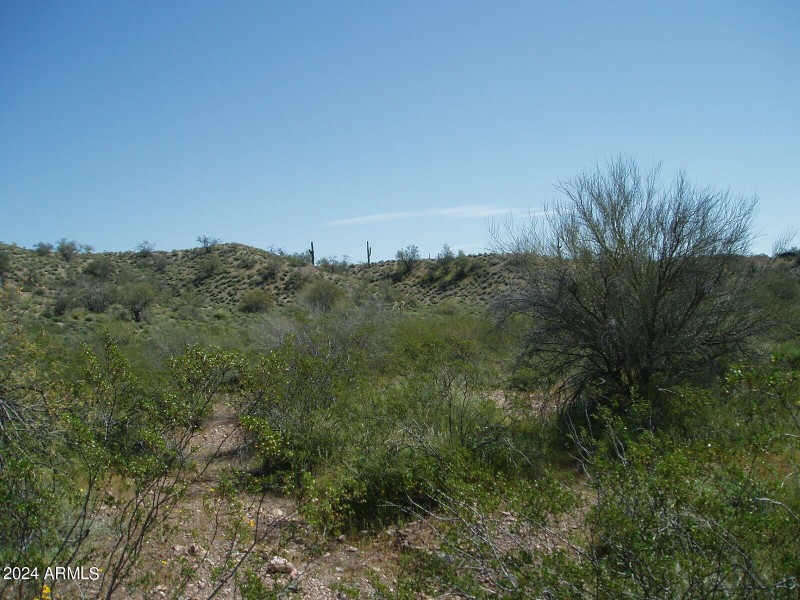P3300016