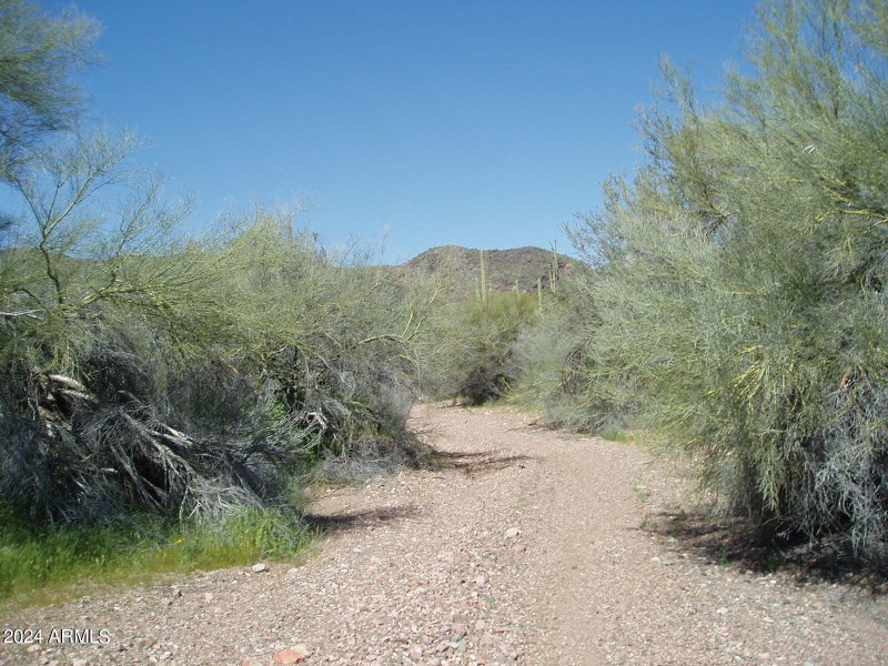 P3300017