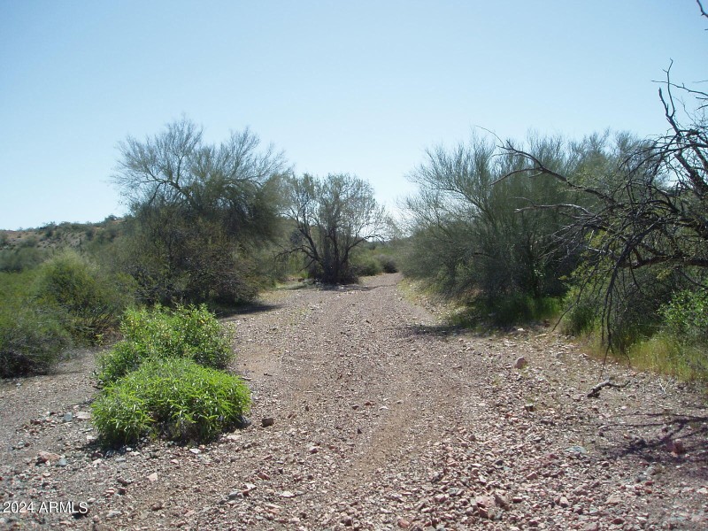 P3300019