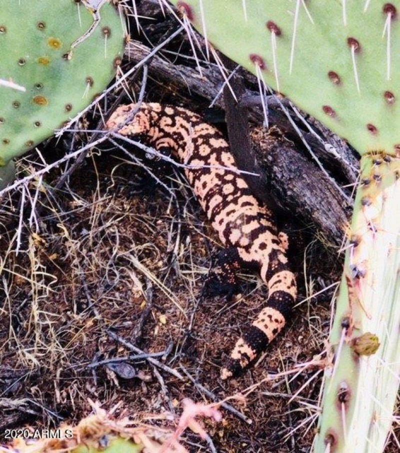 3a
