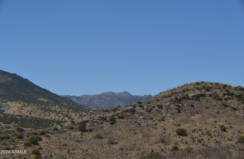 DSC_1118