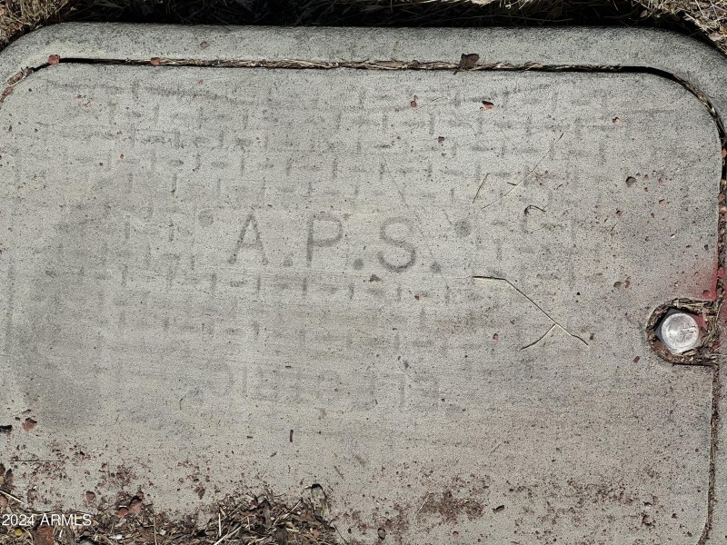 APS access