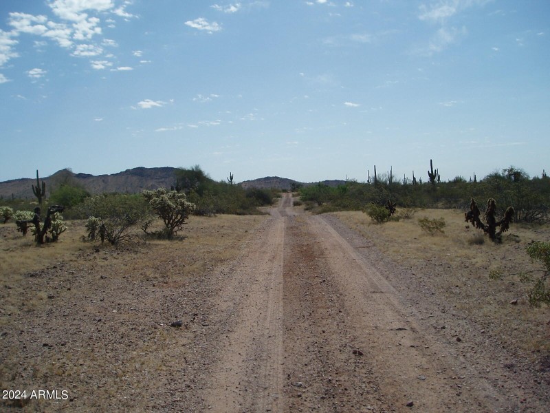P5150005