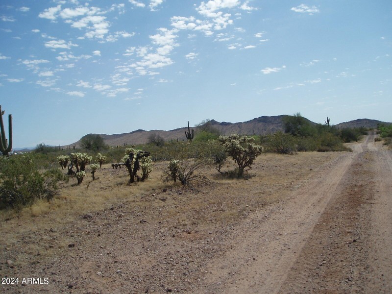 P5150008