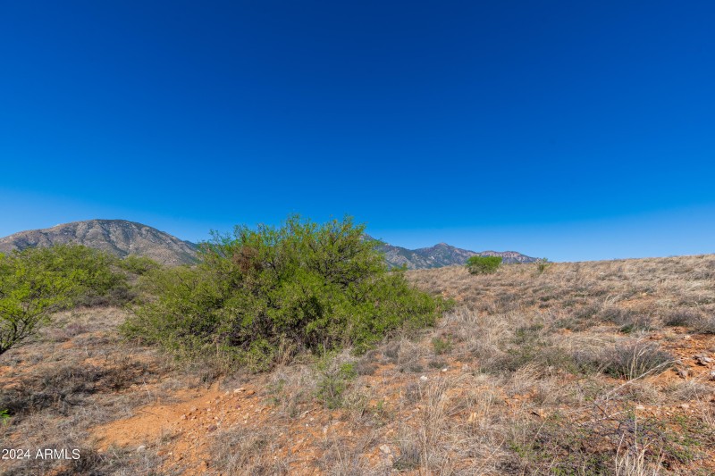 E Laffe Trail