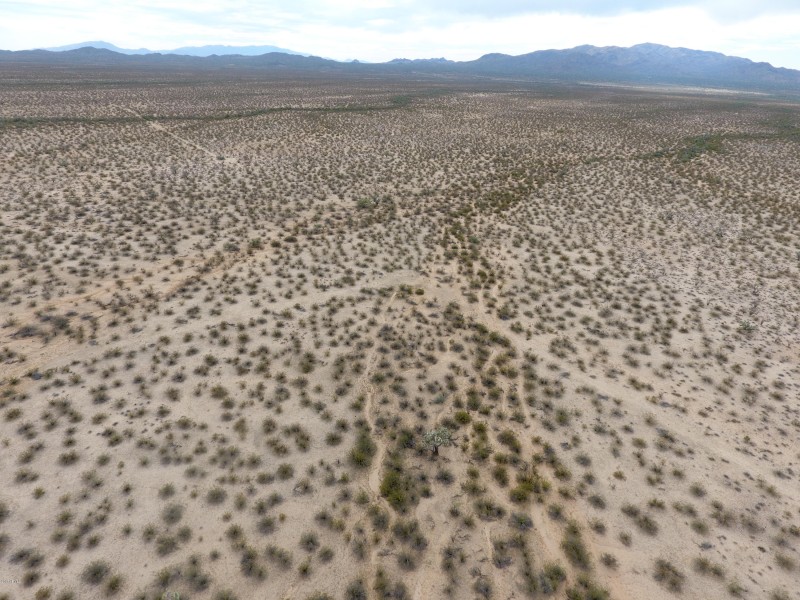 DJI_0012
