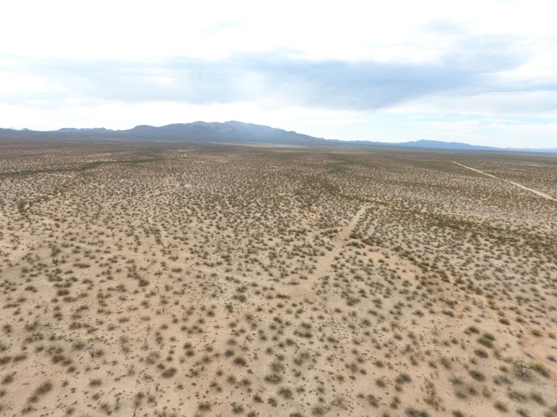 DJI_0015