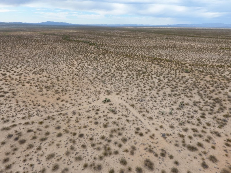 DJI_0019
