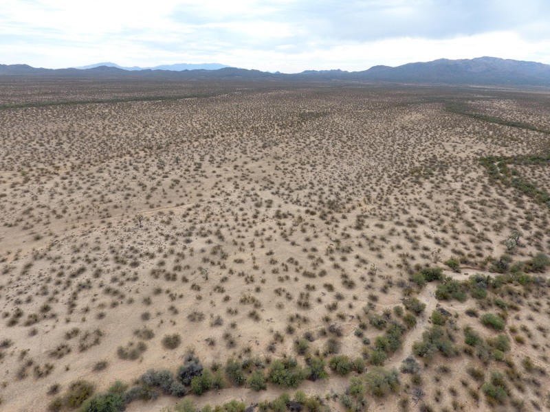 DJI_0020