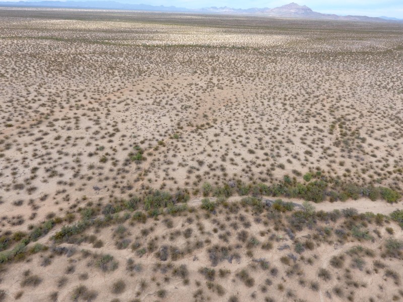 DJI_0025