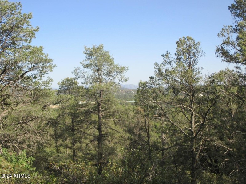 Photo 04