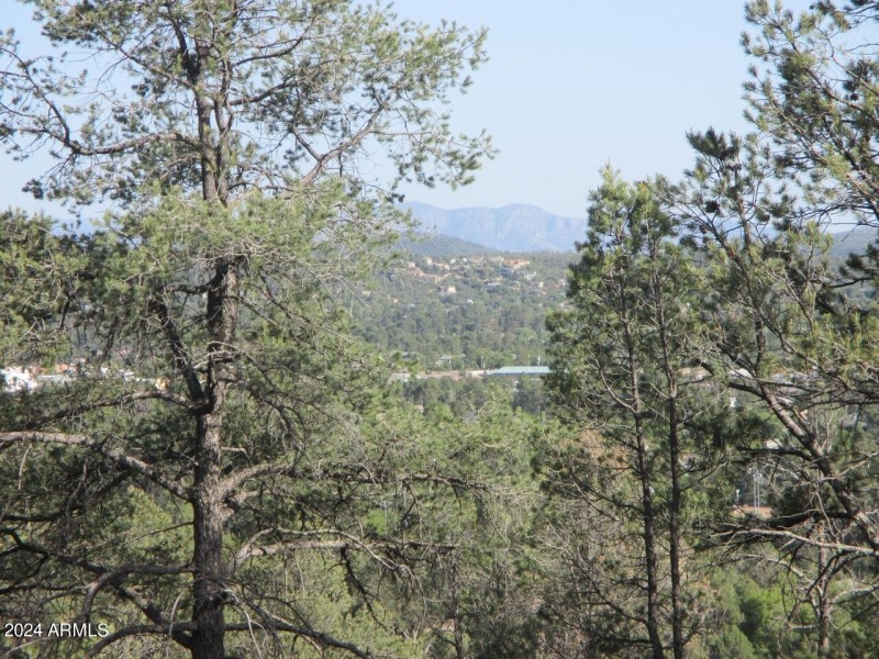 Photo 05
