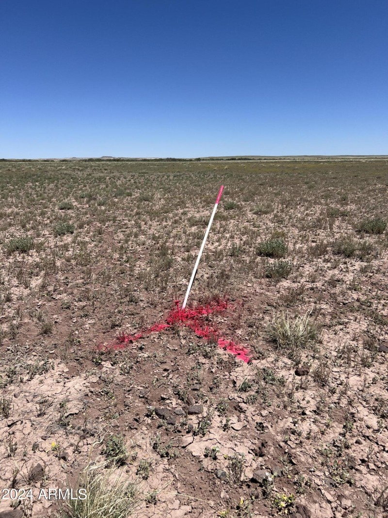 MARKER