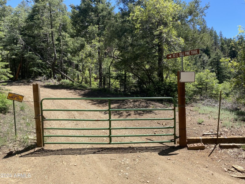 green gate