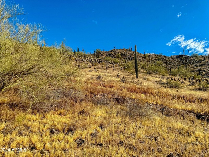 Lot 2 looking north