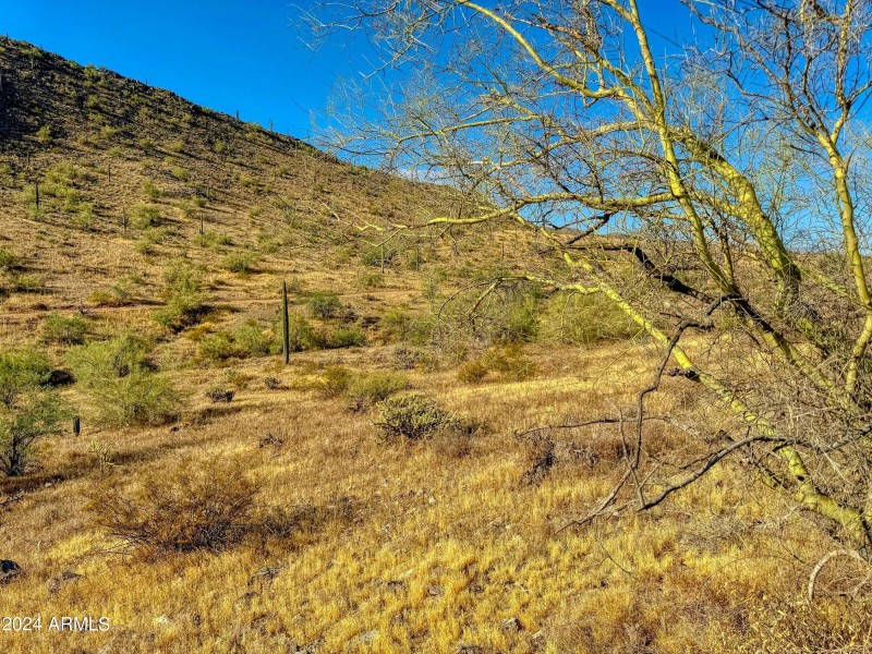 Lot 2 looking south