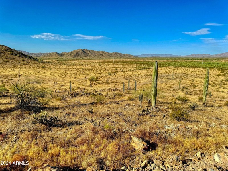Lot 2 SWC looking South