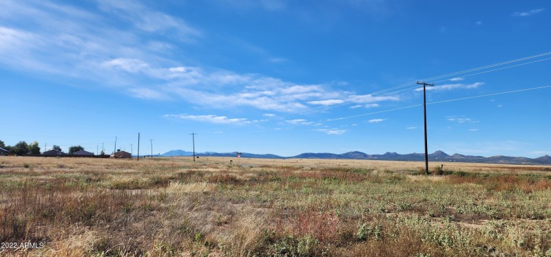 Panoramic View 5