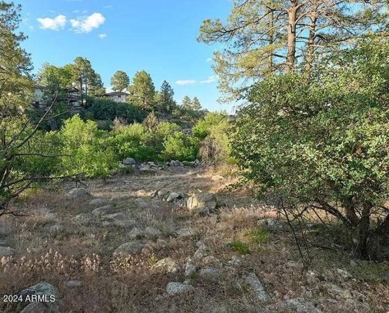 Landscape 5a