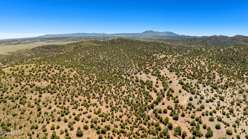 14-Aerial-14