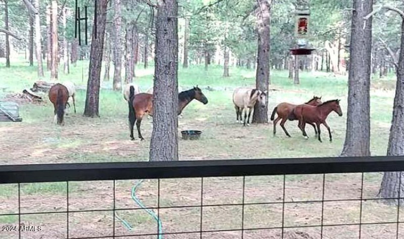 Frequent Visitors