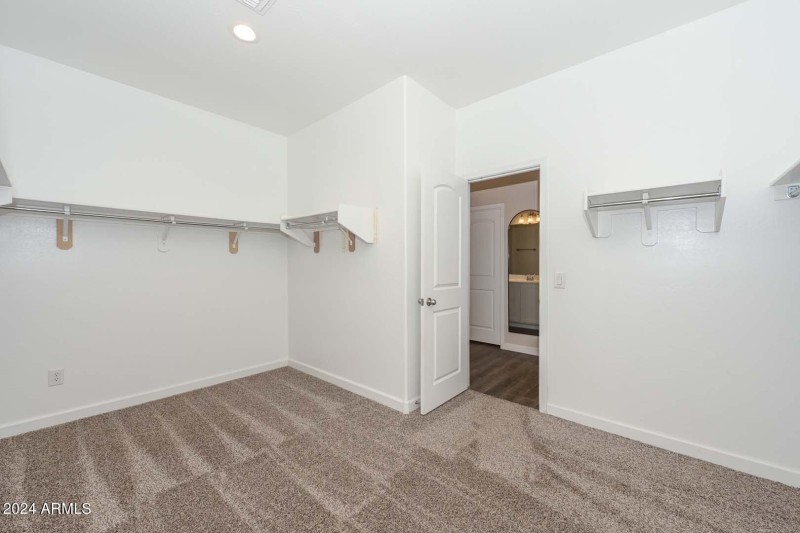 Primary Walk-in-Closet