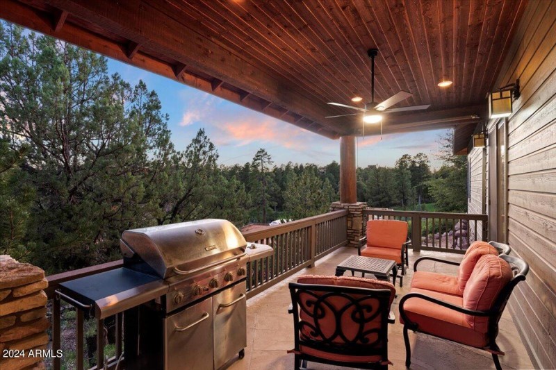 Back Porch - Main Level