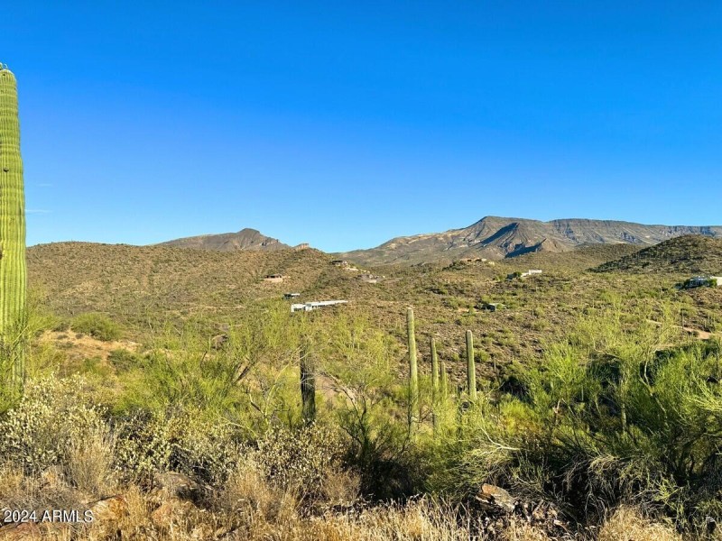 Panoramic Views