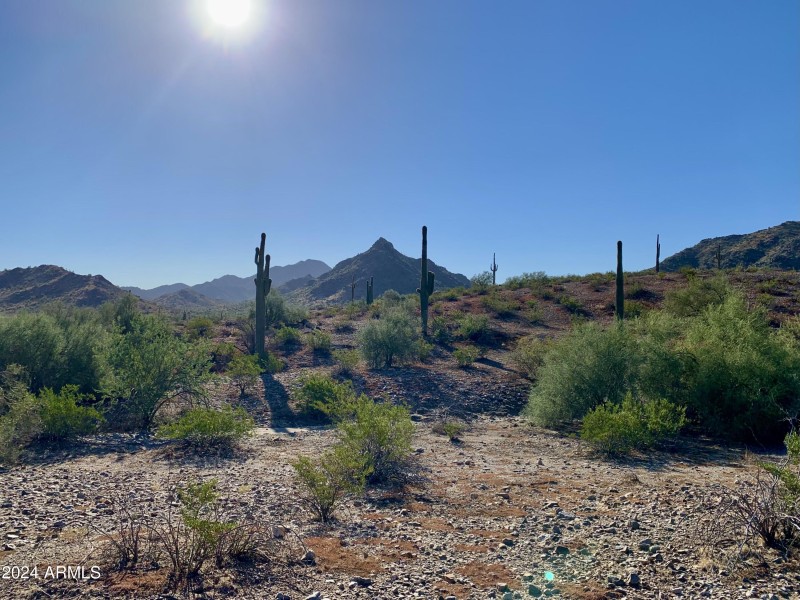 Estrella_Hiking Trails_No People 2