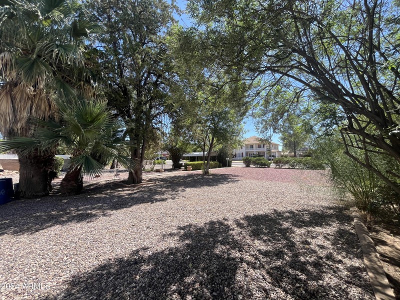 garden