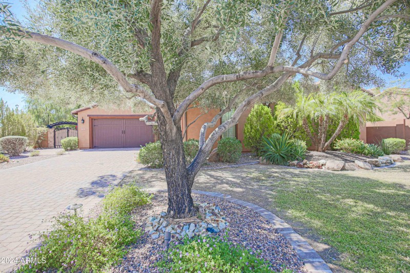 17808 N 57th Place Scottsdale AZ 85254 X