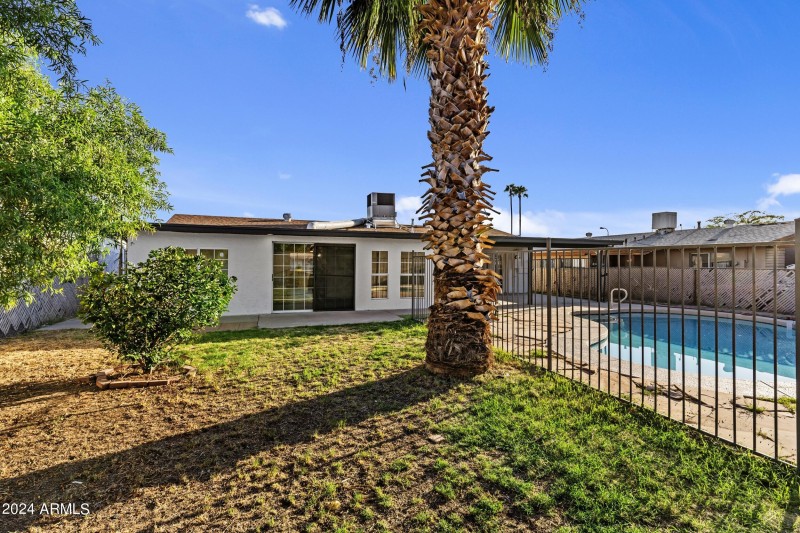 Gorgeous Backyard