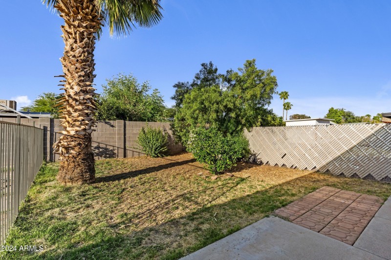 Gorgeous Backyard