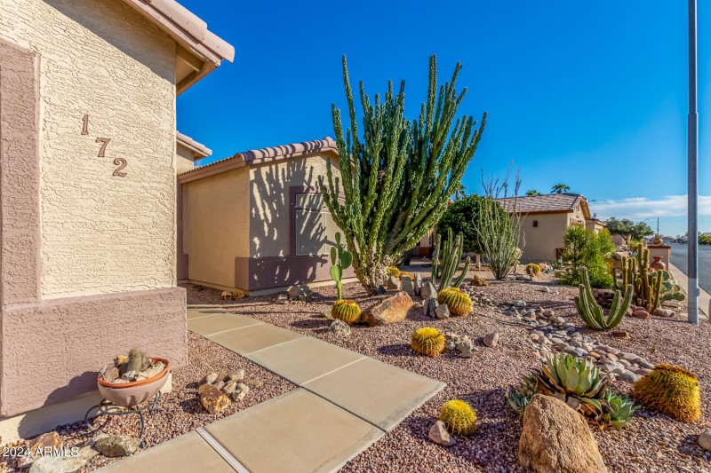 Front Landscaping