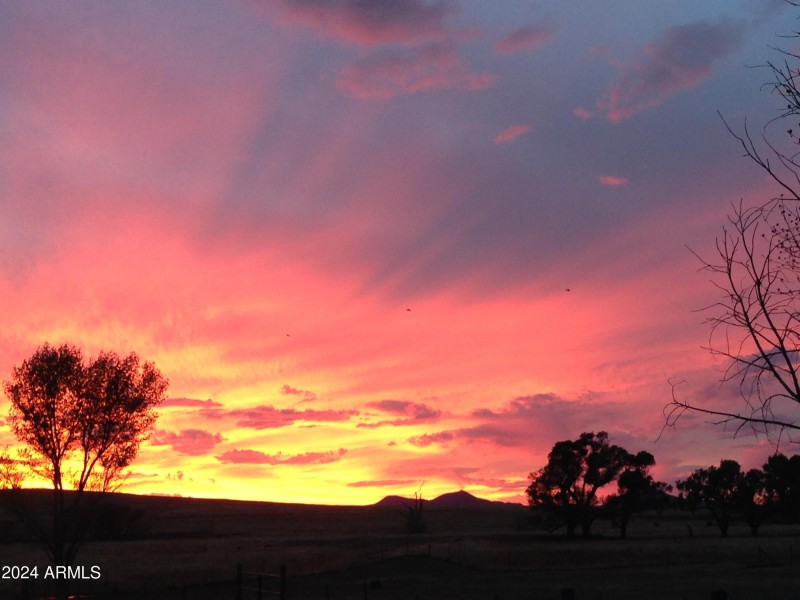 SUNSET Scarlet