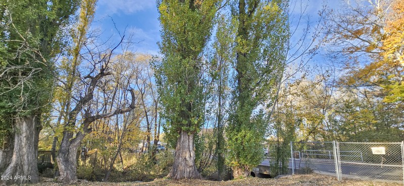 Trees