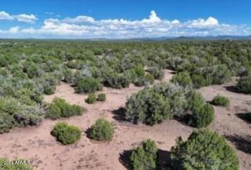 Aerial of the Area