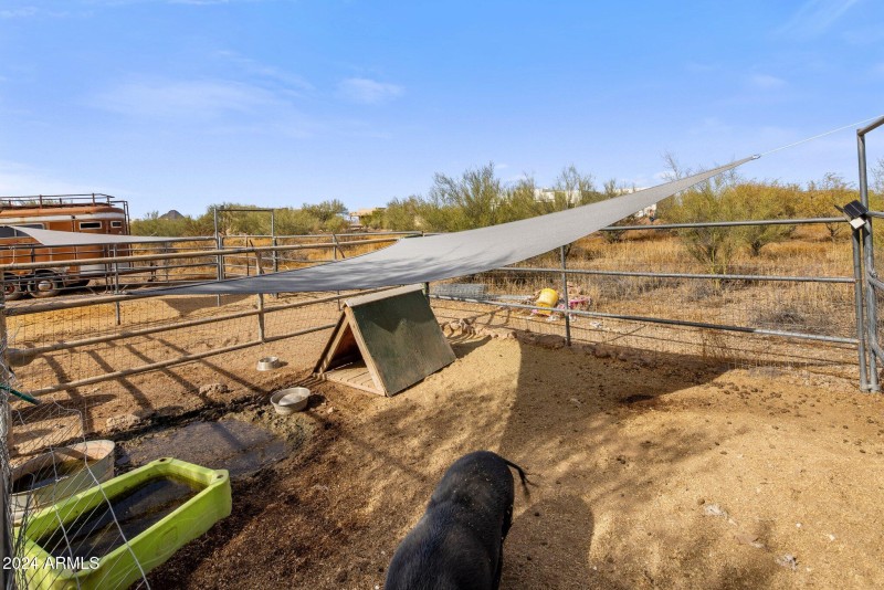 Shaded Animal Shelter Area