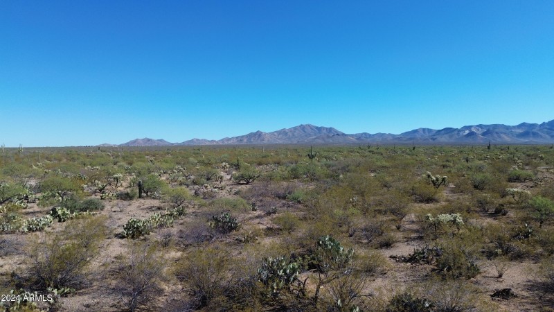 DJI_0263