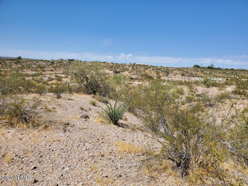 LOT 5 1